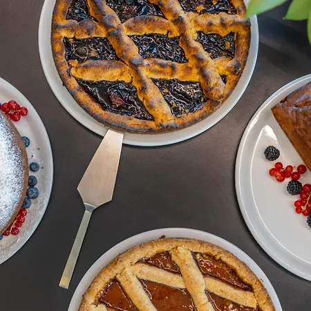 Front 布雷佐内加尔达